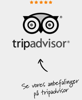 tripadvisor